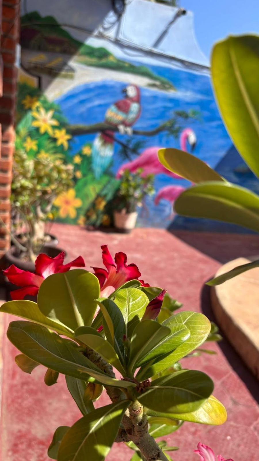 Bungalows Flamingos Rincon de Guayabitos Εξωτερικό φωτογραφία